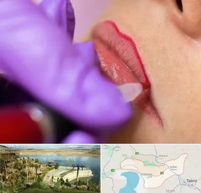 تاتو لب در شبستر