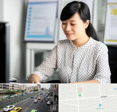 مترجم زبان چینی در خیابان دامپزشکی