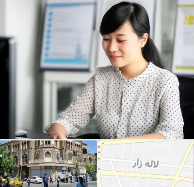 مترجم زبان چینی در لاله زار