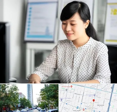 مترجم زبان چینی در امامت مشهد 