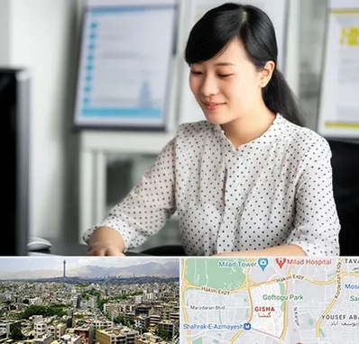 مترجم زبان چینی در گیشا 