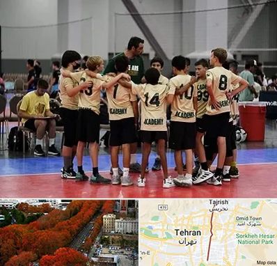 آکادمی والیبال در ولیعصر