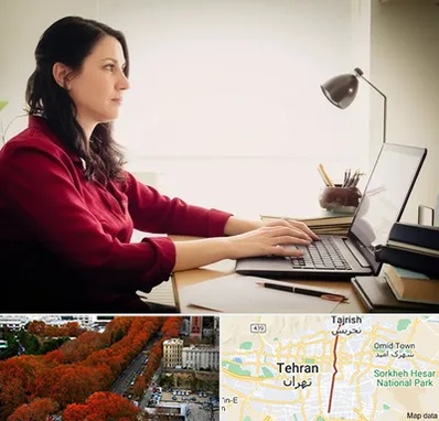 مترجم زبان فرانسوی در ولیعصر 