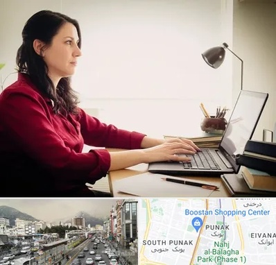 مترجم زبان فرانسوی در پونک 