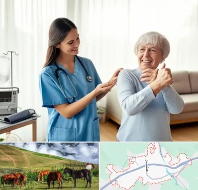 خدمات پرستاری در تالش