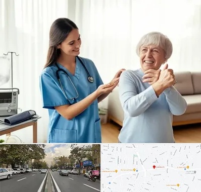 خدمات پرستاری در دولت 