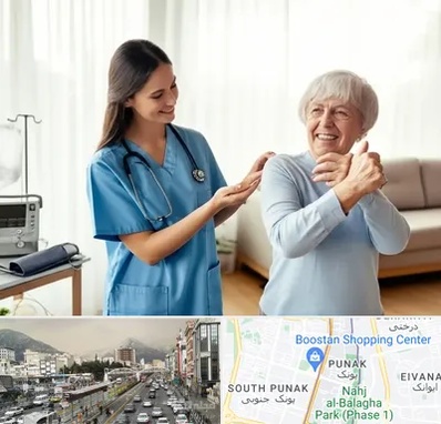 خدمات پرستاری در پونک 