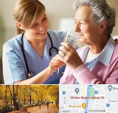 پرستار بیمار در چهارباغ اصفهان 