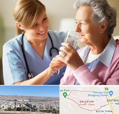 پرستار بیمار در شهرک گلستان شیراز 