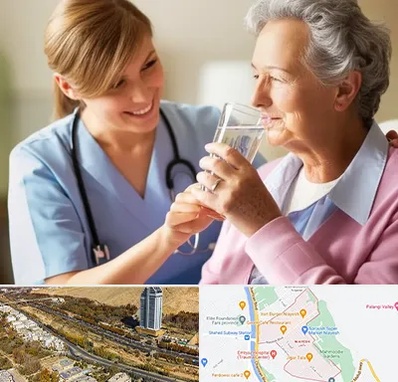 پرستار بیمار در خیابان نیایش شیراز 