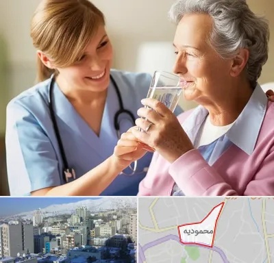 پرستار بیمار در محمودیه