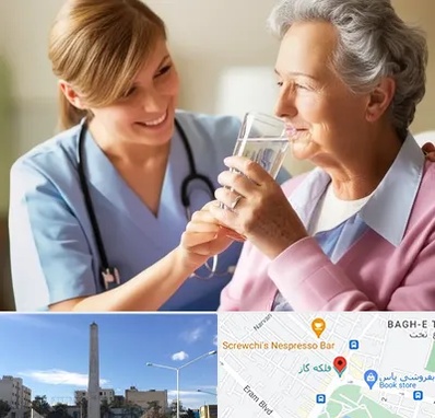 پرستار بیمار در فلکه گاز شیراز 