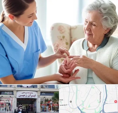 شرکت پرستاری در ایران زمین
