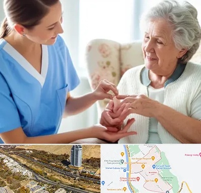 شرکت پرستاری در خیابان نیایش شیراز 