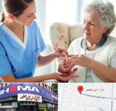 شرکت پرستاری در امین حضور 