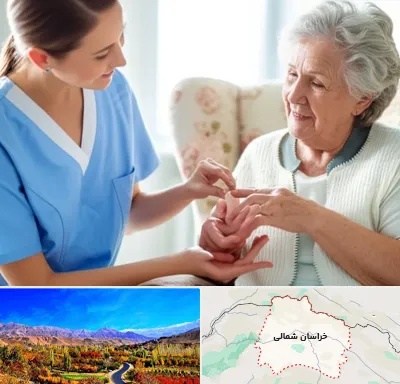 شرکت پرستاری در خراسان شمالی