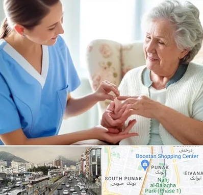 شرکت پرستاری در پونک