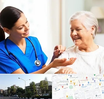بهیار در میدان کاج