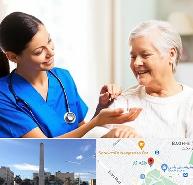 بهیار در فلکه گاز شیراز 