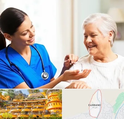 بهیار در دربند