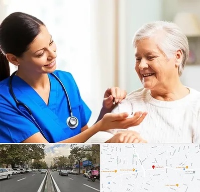 بهیار در دولت 