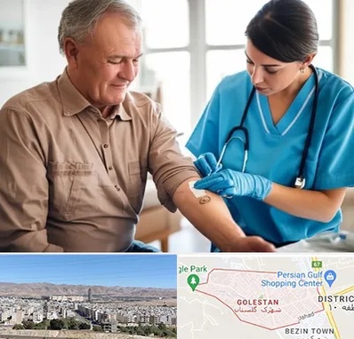 تزریقات و پانسمان در شهرک گلستان شیراز 