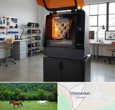پرینتر سه بعدی در چمستان
