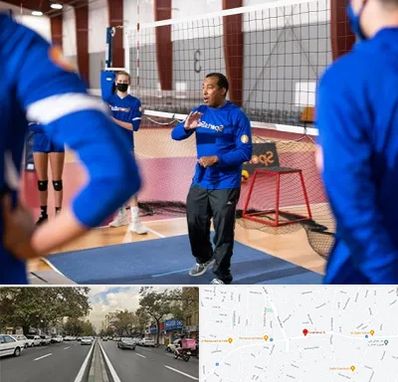 مربی والیبال در دولت