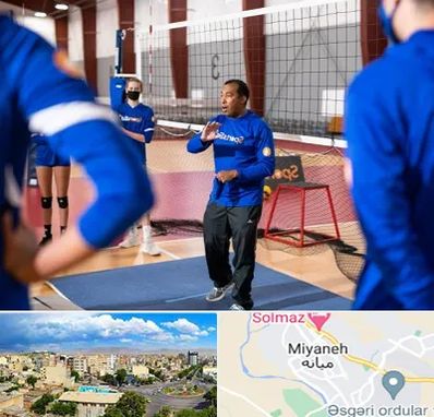 مربی والیبال در میانه