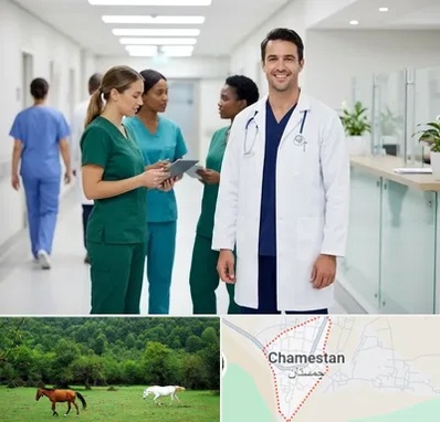 روپوش و اسکراب پزشکی در چمستان