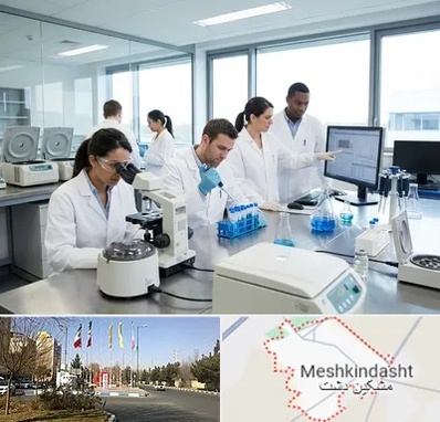 روپوش آزمایشگاهی در مشکین دشت