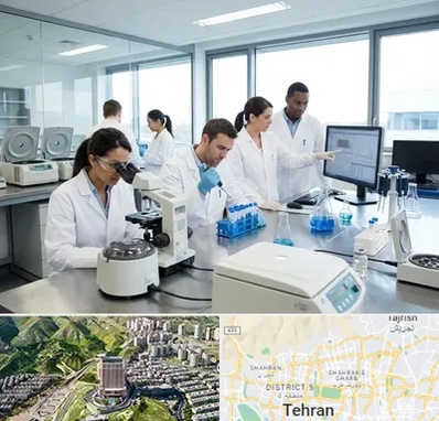 روپوش آزمایشگاهی در شمال تهران 