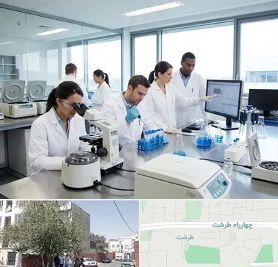 روپوش آزمایشگاهی در طرشت