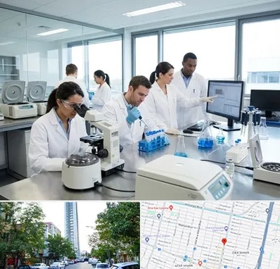 روپوش آزمایشگاهی در امامت مشهد