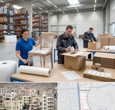 خدمات بسته بندی در اسکندری