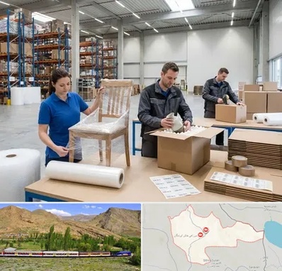 خدمات بسته بندی در خاش