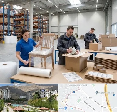 خدمات بسته بندی در شهر زیبا 