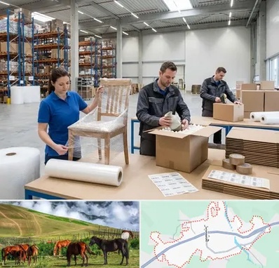 خدمات بسته بندی در تالش