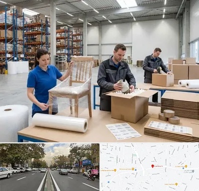 خدمات بسته بندی در دولت 