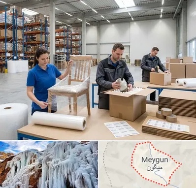 خدمات بسته بندی در میگون