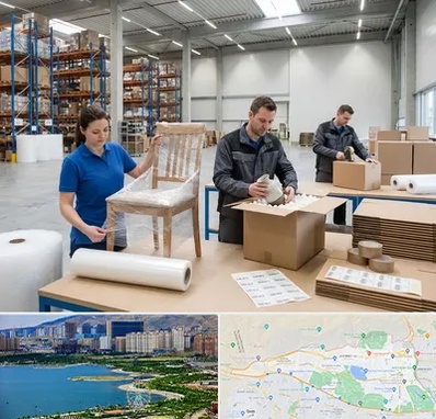 خدمات بسته بندی در منطقه 22 تهران 