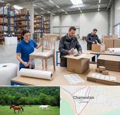 خدمات بسته بندی در چمستان