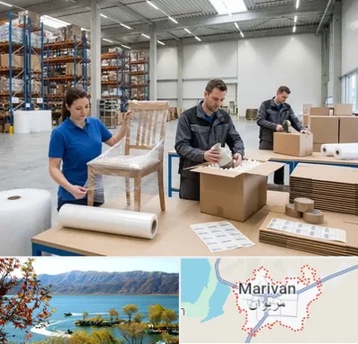 خدمات بسته بندی در مریوان