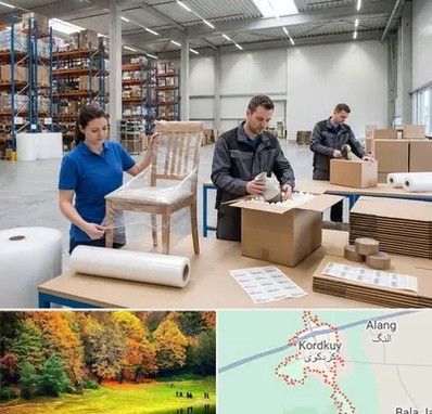 خدمات بسته بندی در کردکوی