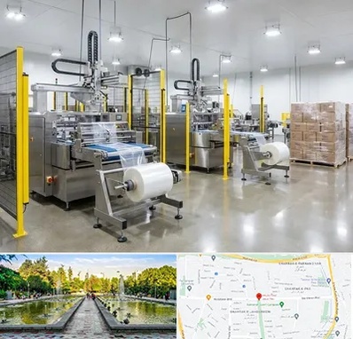 کیسه فریزر در سرسبز 