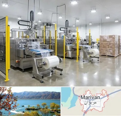 کیسه فریزر در مریوان