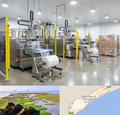 کیسه فریزر در بندرلنگه