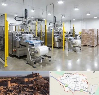 کیسه فریزر در بم