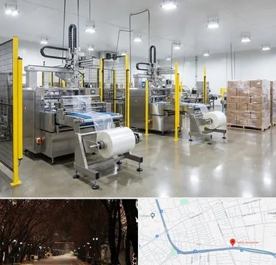 کیسه فریزر در ابوریحان تبریز 