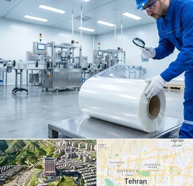 سلفون در شمال تهران